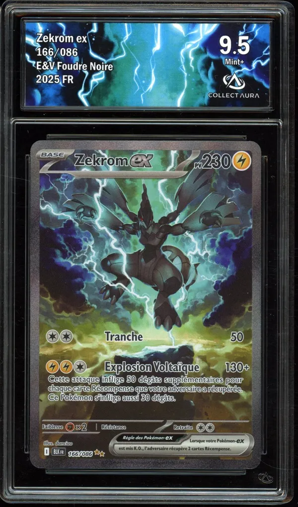 CA 9.5 Zekrom Ex