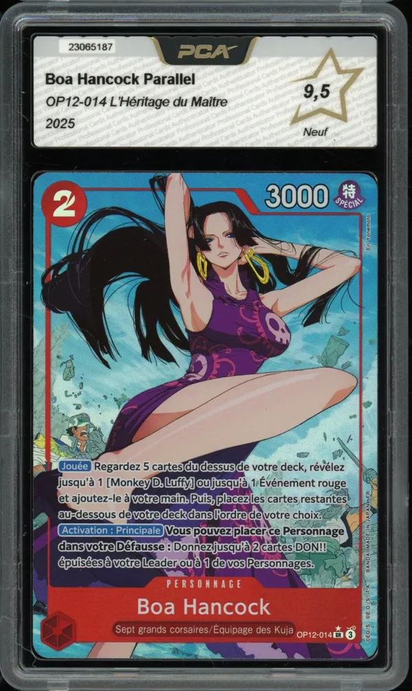 PCA 9.5 Boa Hancock