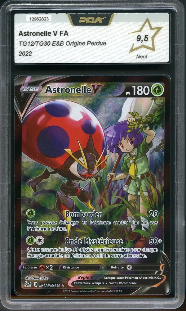 PCA 9.5 Astronelle V