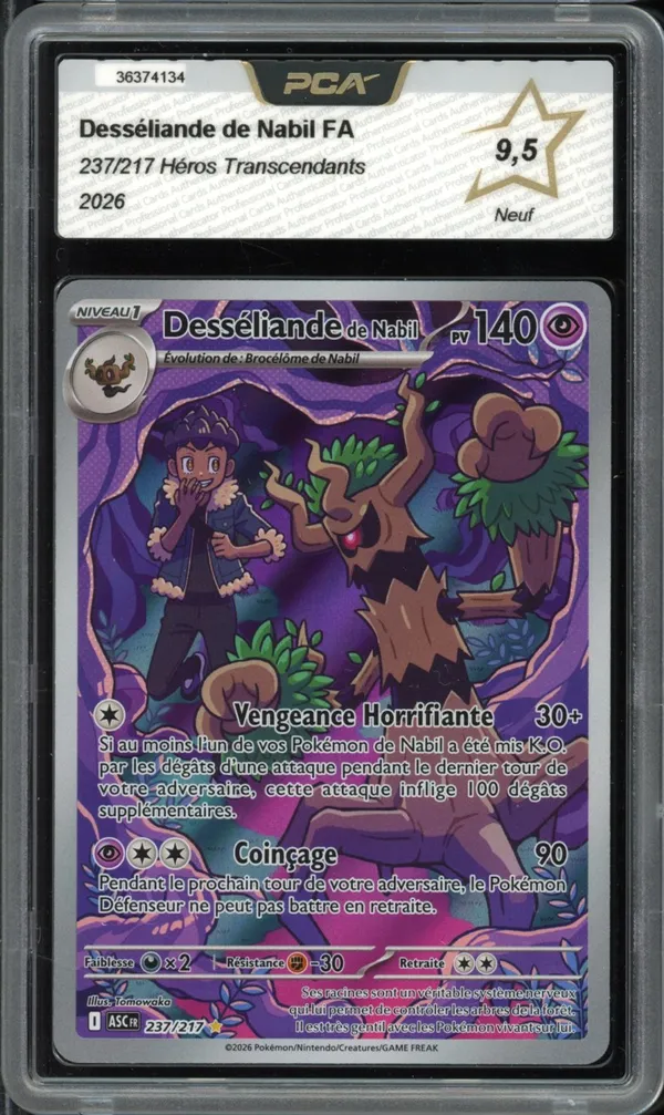 PCA 9.5 Desséliande de Nabil