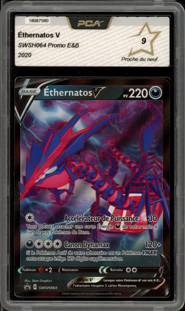 PCA 9 Ethernatos V