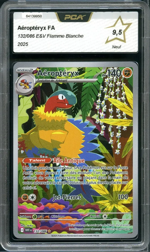 PCA 9.5 Aéroptéryx