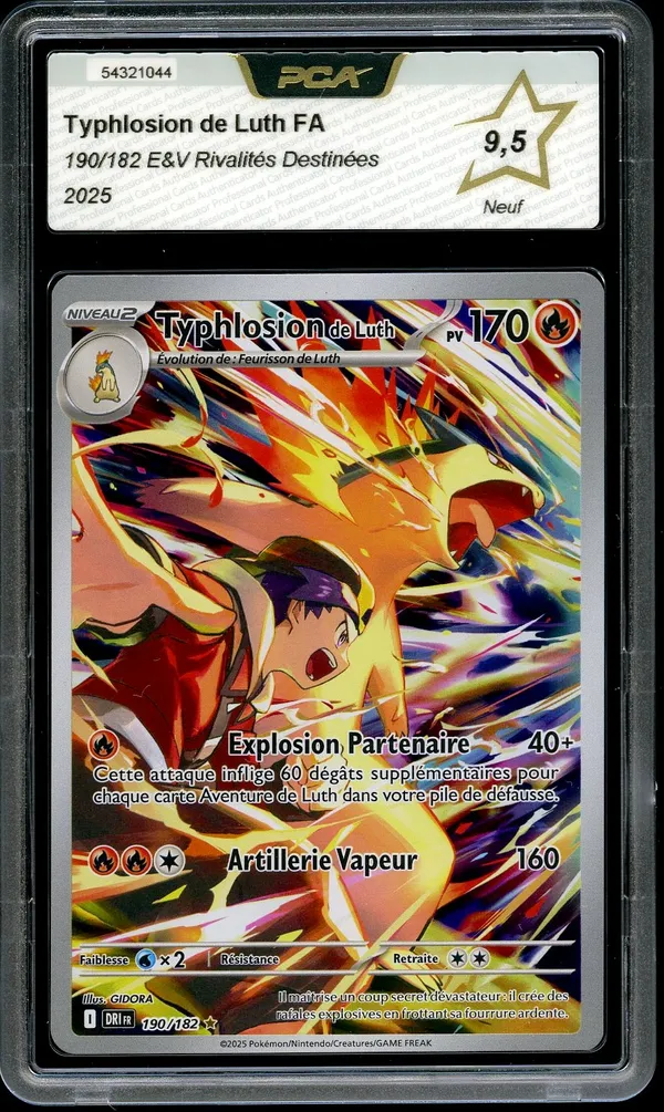 PCA 9.5 Typhlosion de Luth