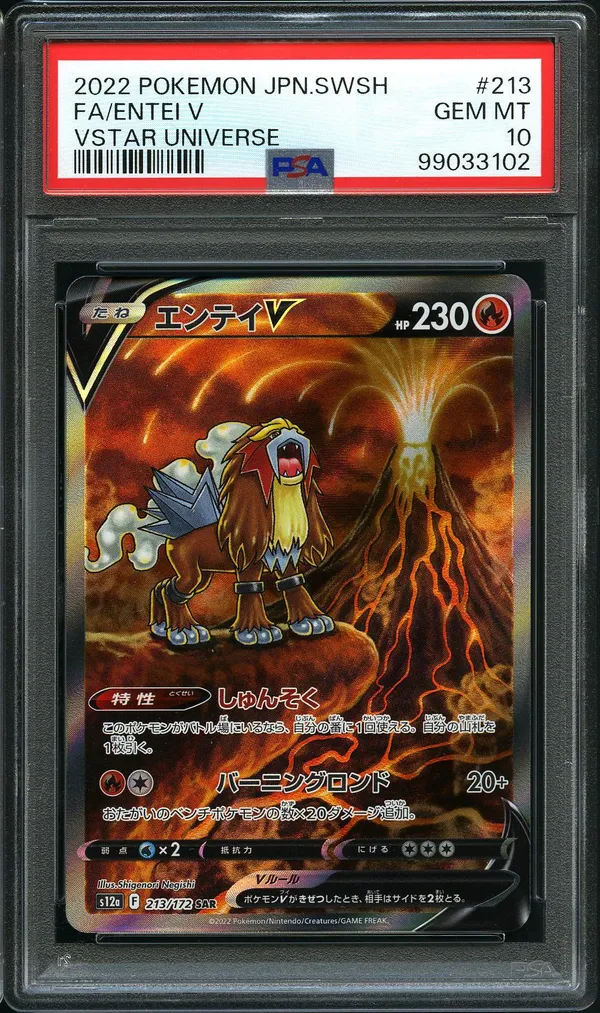 PSA 10 Entei V
