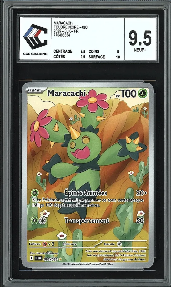 CCC 9.5 Maracachi