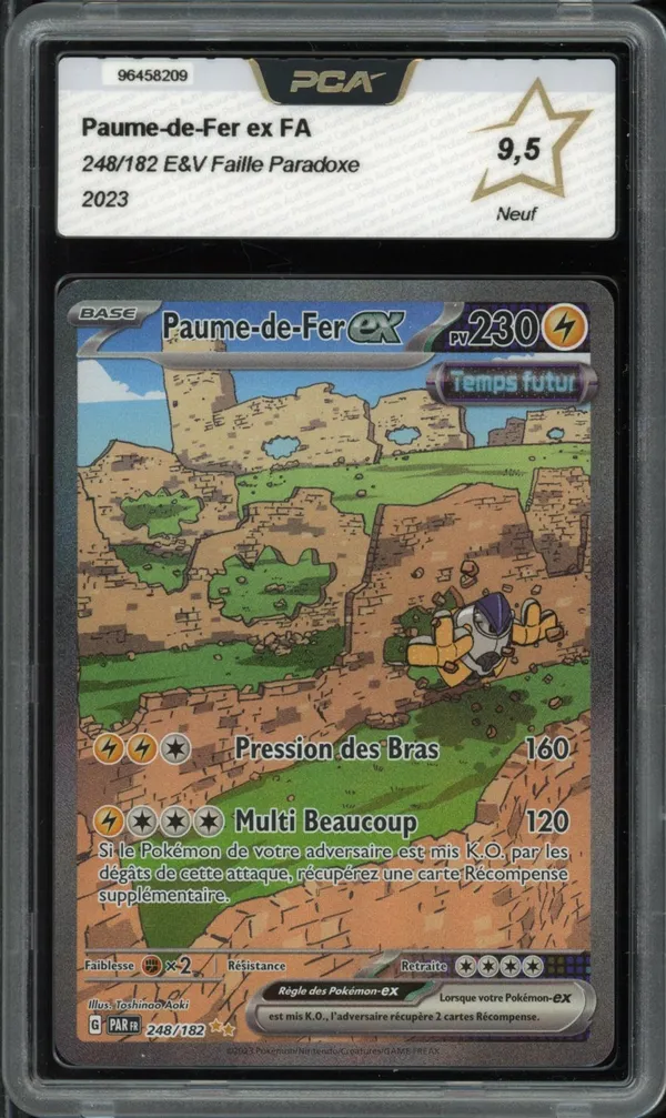 PCA 9.5 Paume-de-Fer Ex