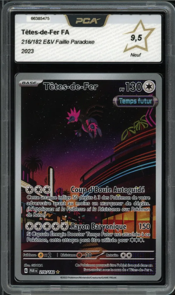 PCA 9.5 Têtes-de-Fer