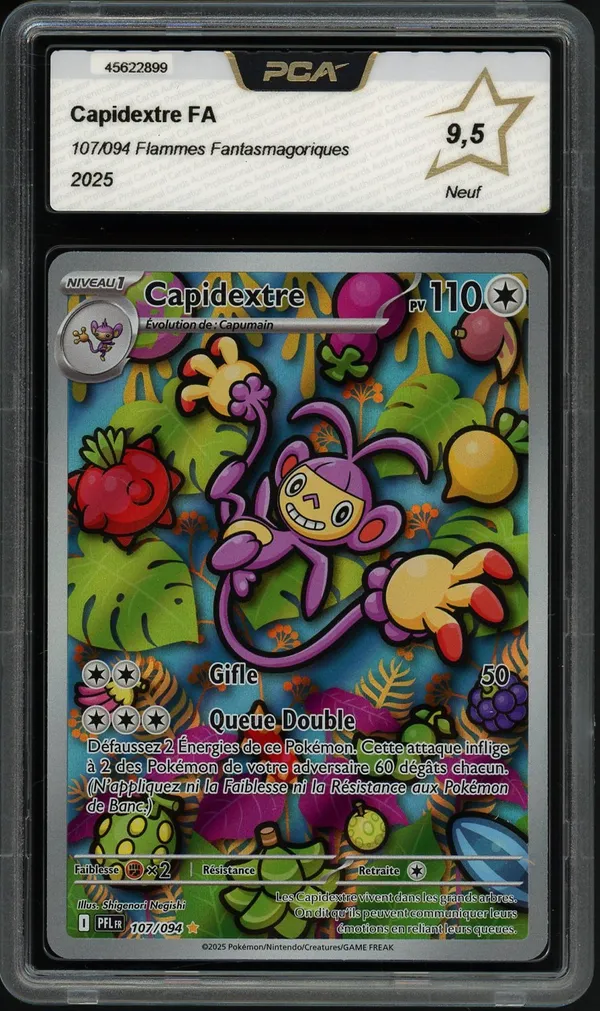 PCA 9.5 Capidextre