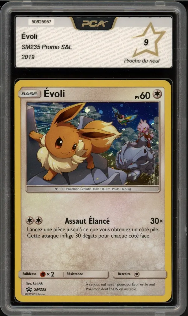 PCA 9 Evoli