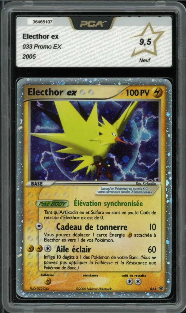 PCA 9.5 Electhor Ex