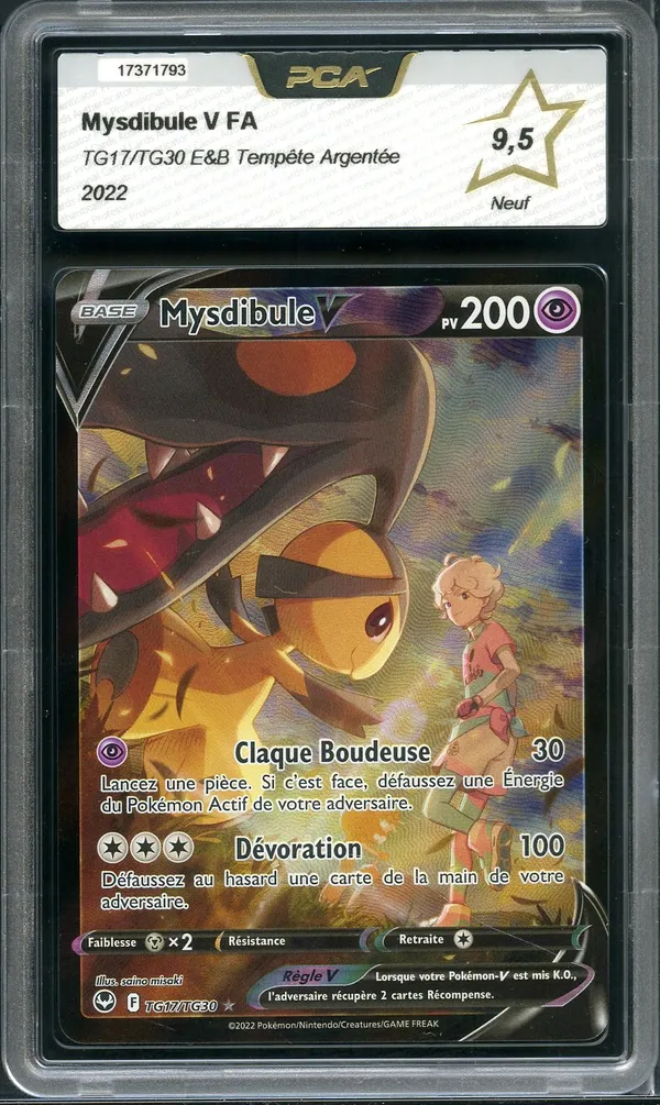PCA 9.5 Mysdibule V