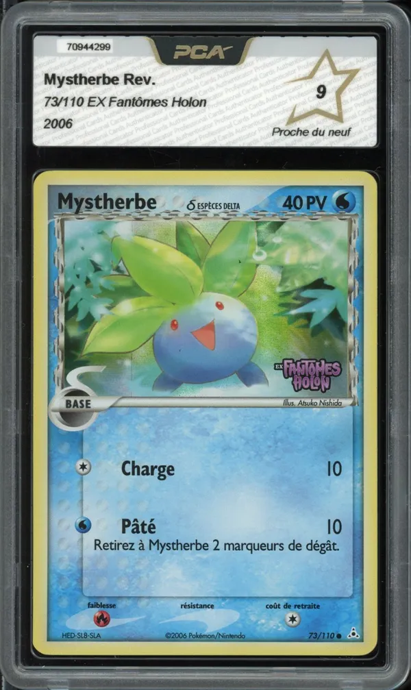 PCA 9 Mystherbe Reverse