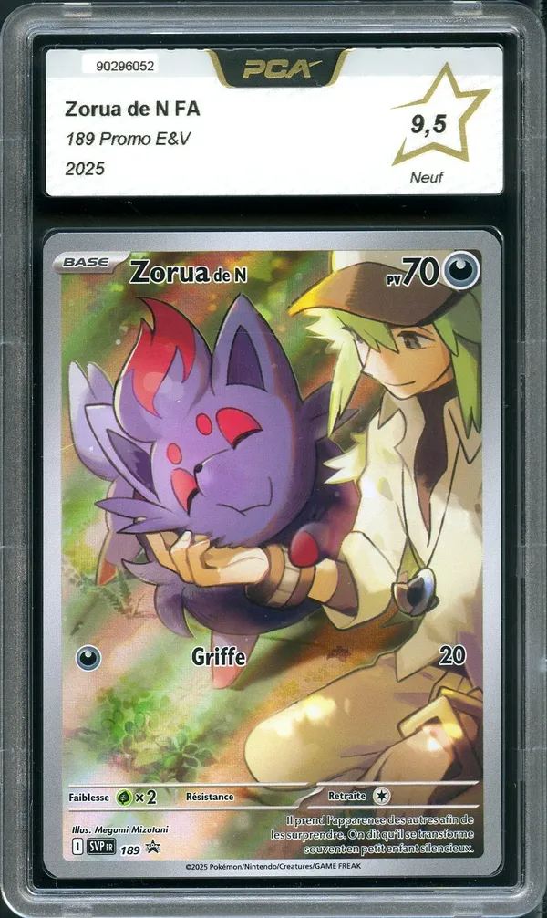 PCA 9.5 Zorua de N