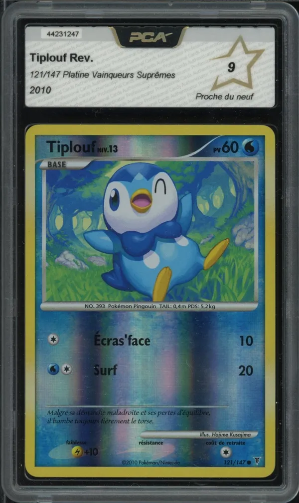 PCA 9 Tiplouf Reverse