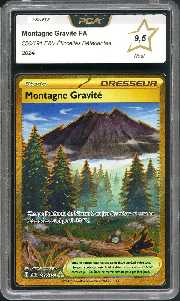 PCA 9.5 Montagne Gravité Gold