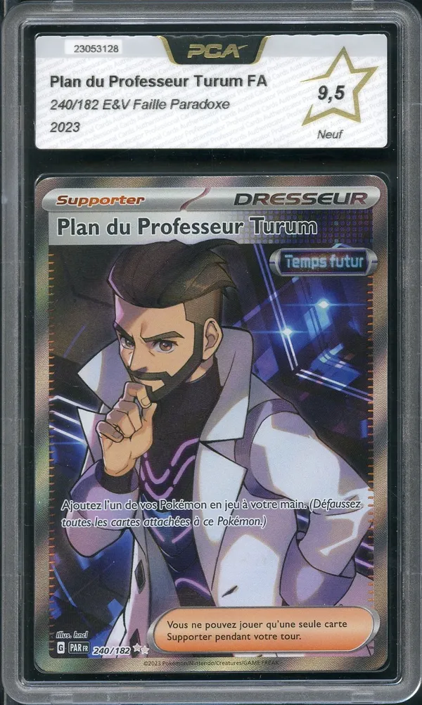 PCA 9.5 Plan du Professeur Turum