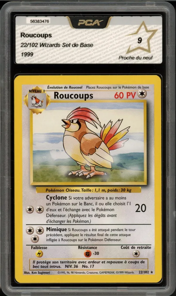 PCA 9 Roucoups