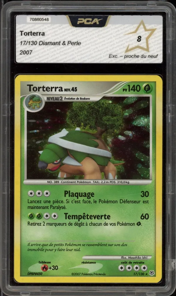 PCA 8 Torterra Holo