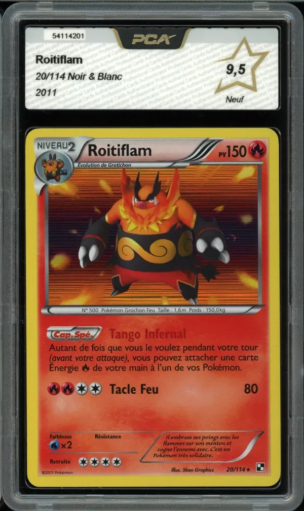 PCA 9.5 Roitiflam Holo