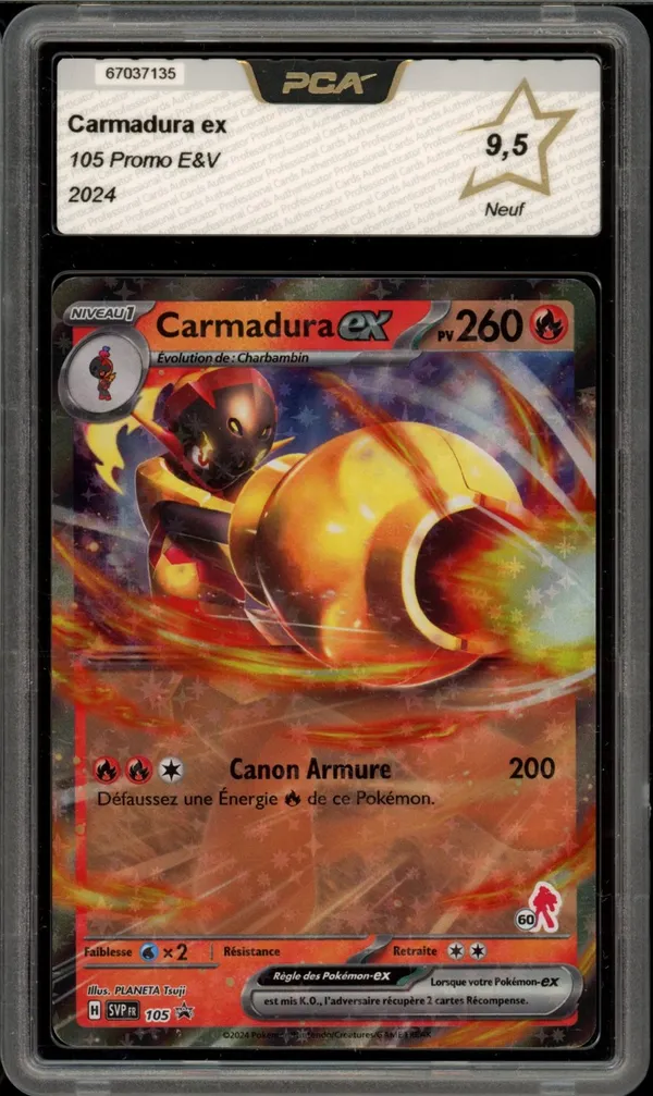 PCA 9.5 Carmadura Ex