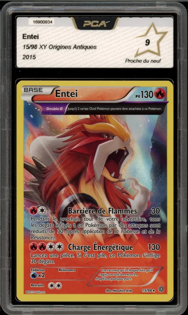 PCA 9 Entei