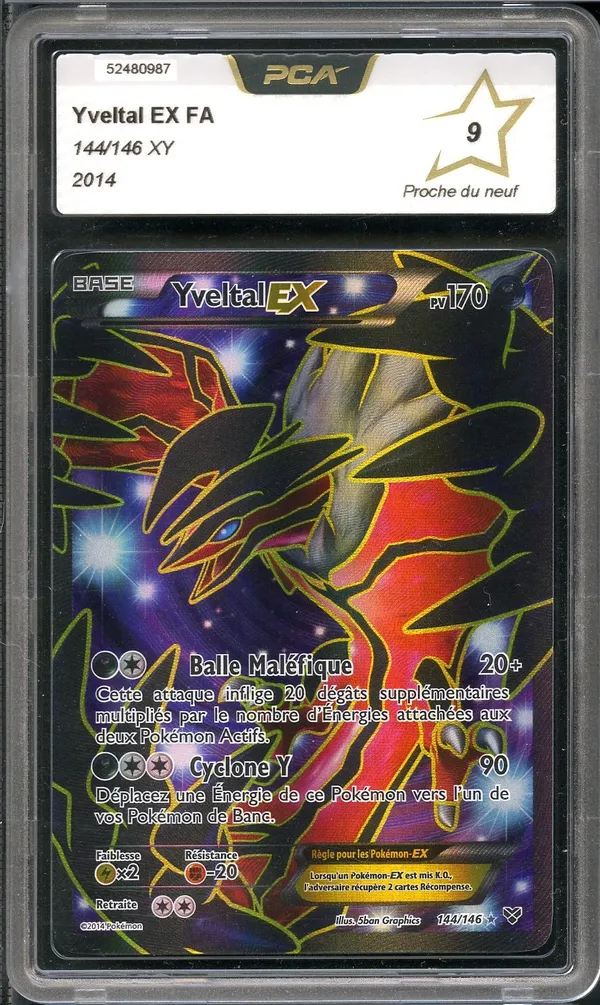 PCA 9 Yveltal Ex