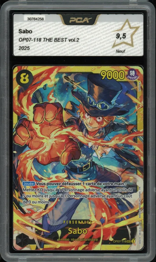 PCA 9.5 Sabo