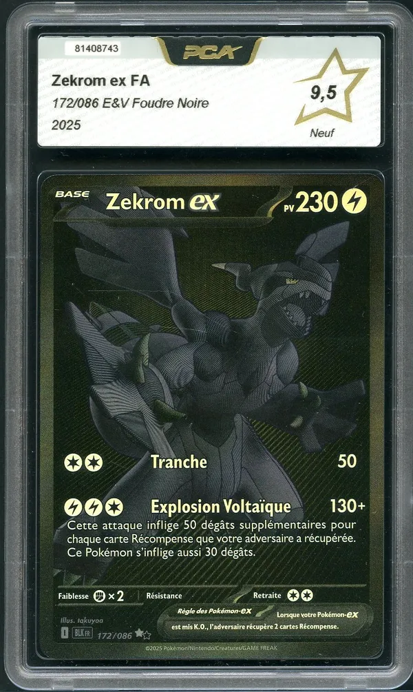 PCA 9.5 Zekrom Ex