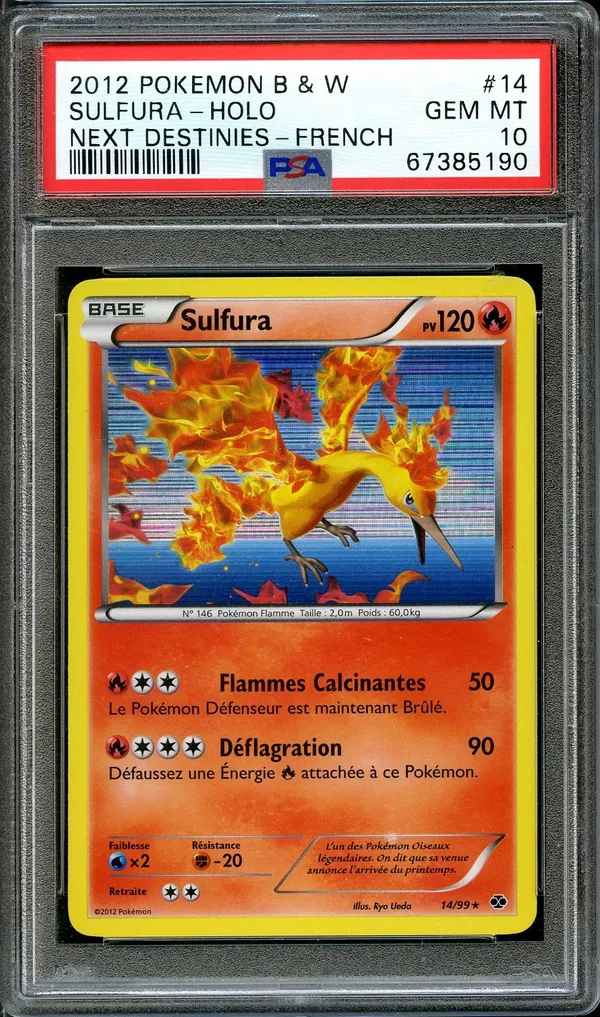 PSA 10 Sulfura Holo