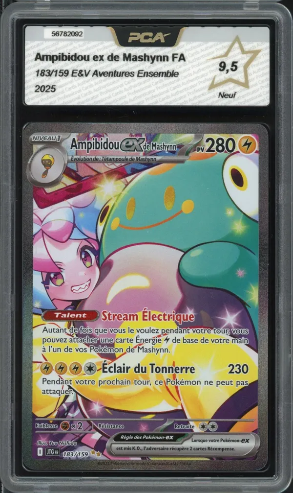 PCA 9.5 Ampibidou Ex de Mashynn