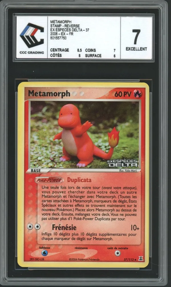 CCC 7 Métamorph Reverse