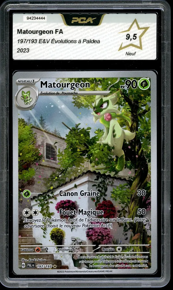 PCA 9.5 Matourgeon