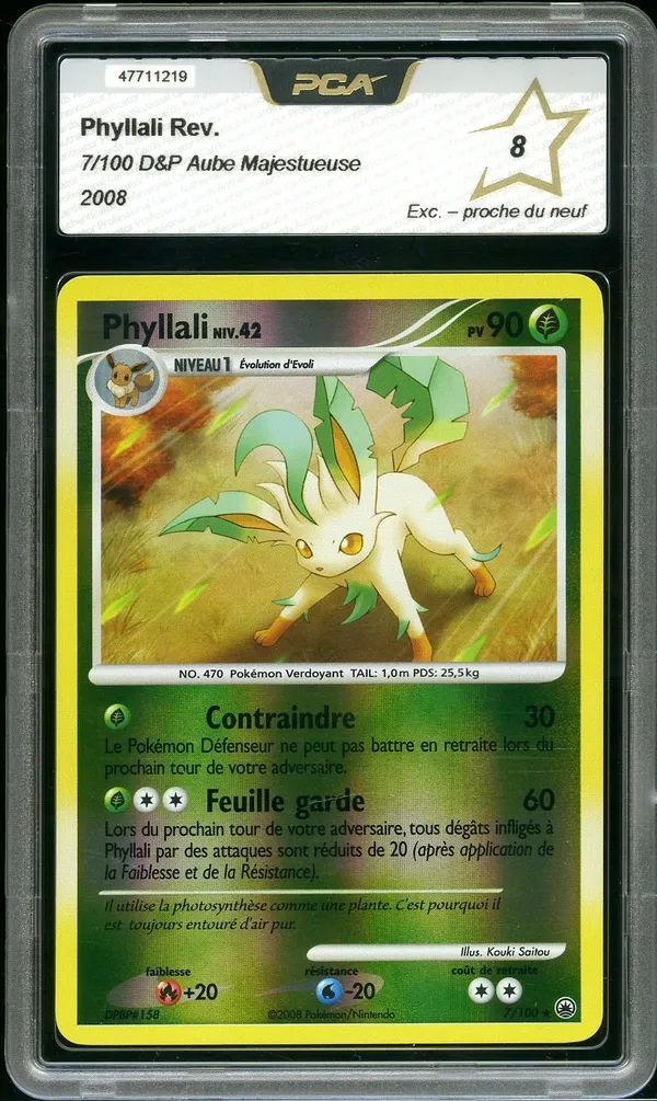 PCA 8 Phyllali Reverse