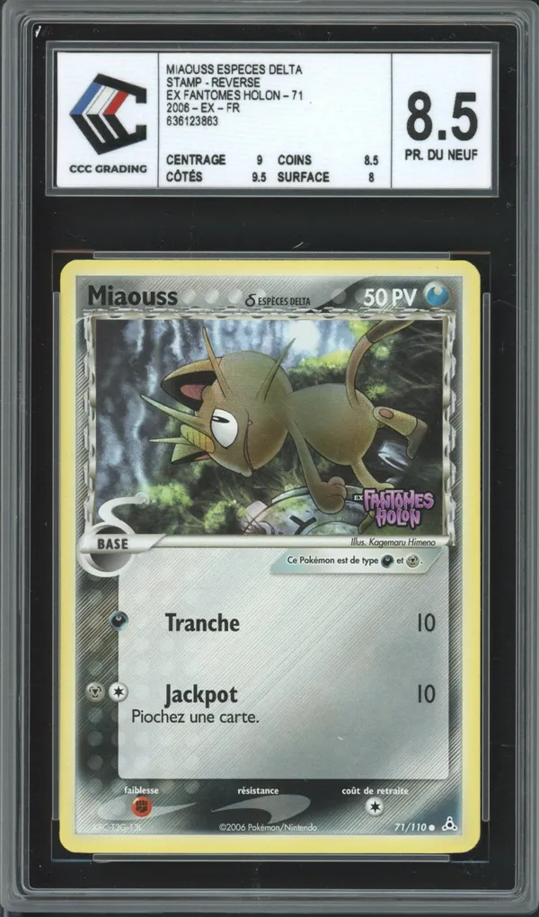 CCC 8.5 Miaouss Reverse
