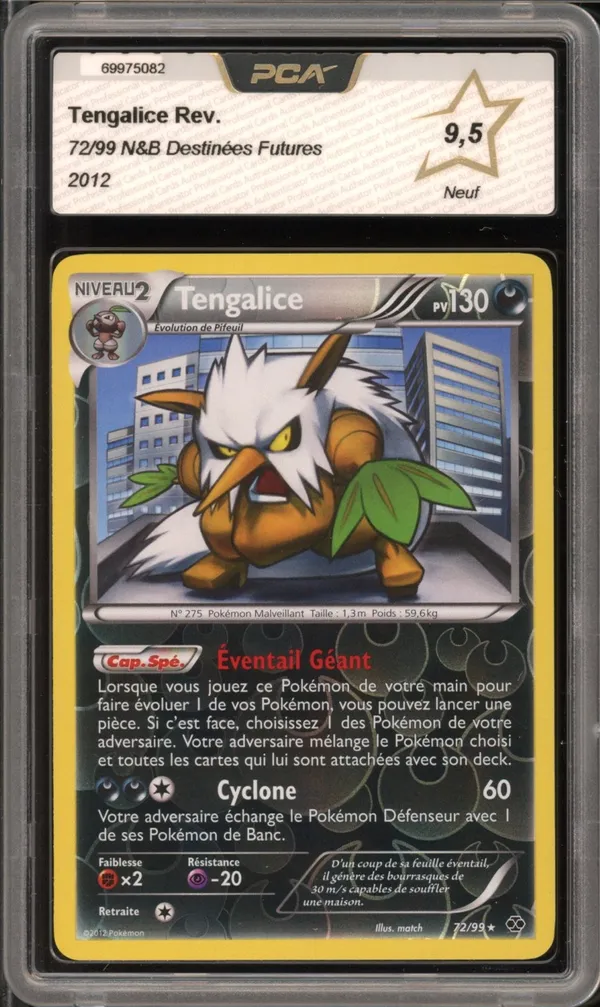 PCA 9.5 Tengalice Reverse