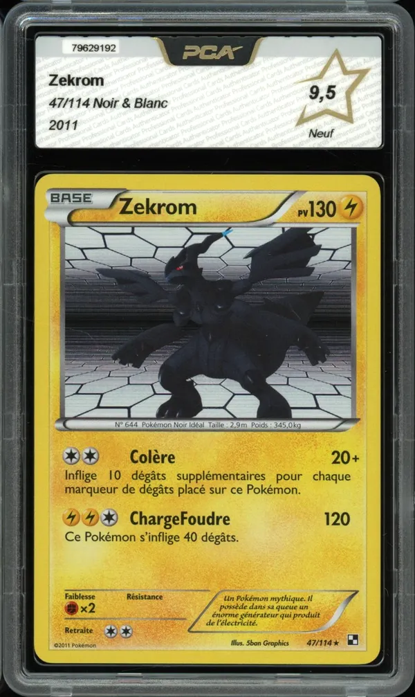PCA 9.5 Zekrom Holo