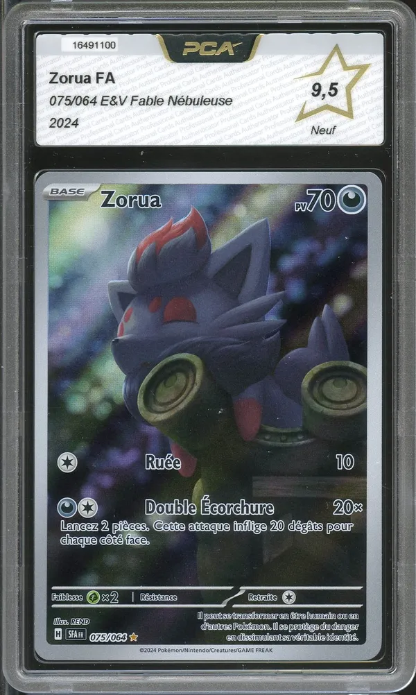 PCA 9.5 Zorua