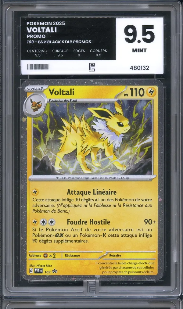 PG 9.5 Voltali Promo