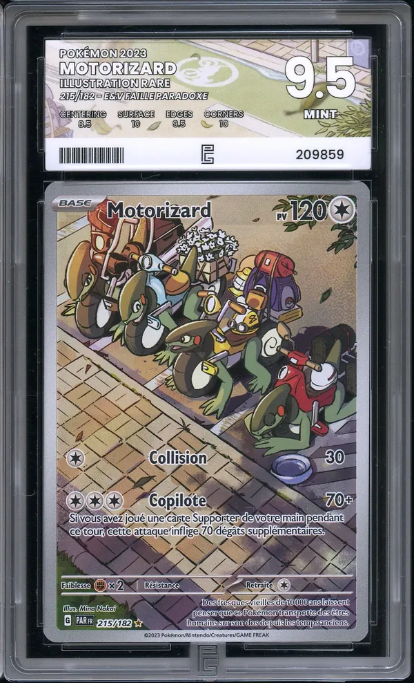 PG 9.5 Motorizard