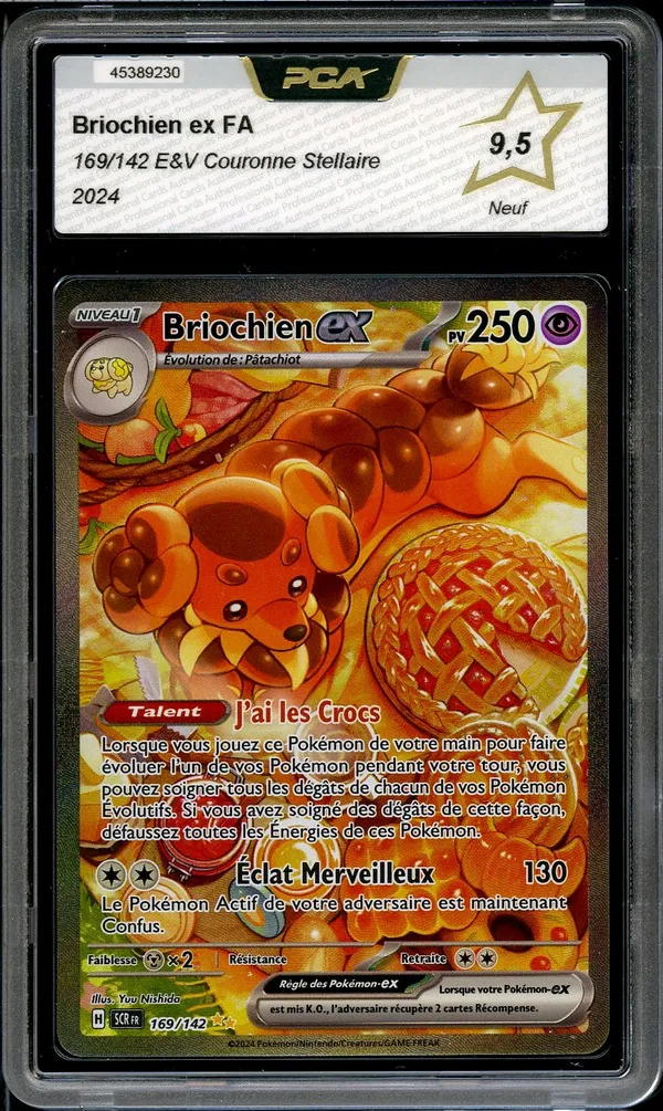 PCA 9.5 Briochien Ex