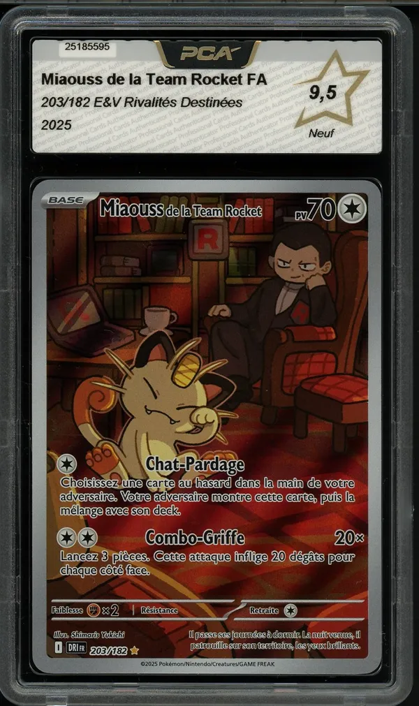 PCA 9.5 Miaouss de la Team Rocket