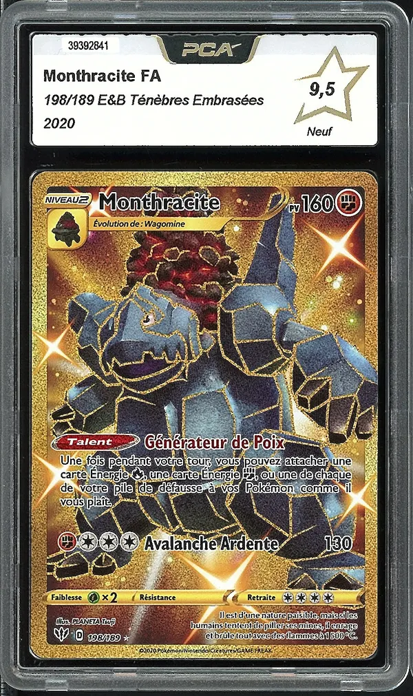 PCA 9.5 Monthracite Gold