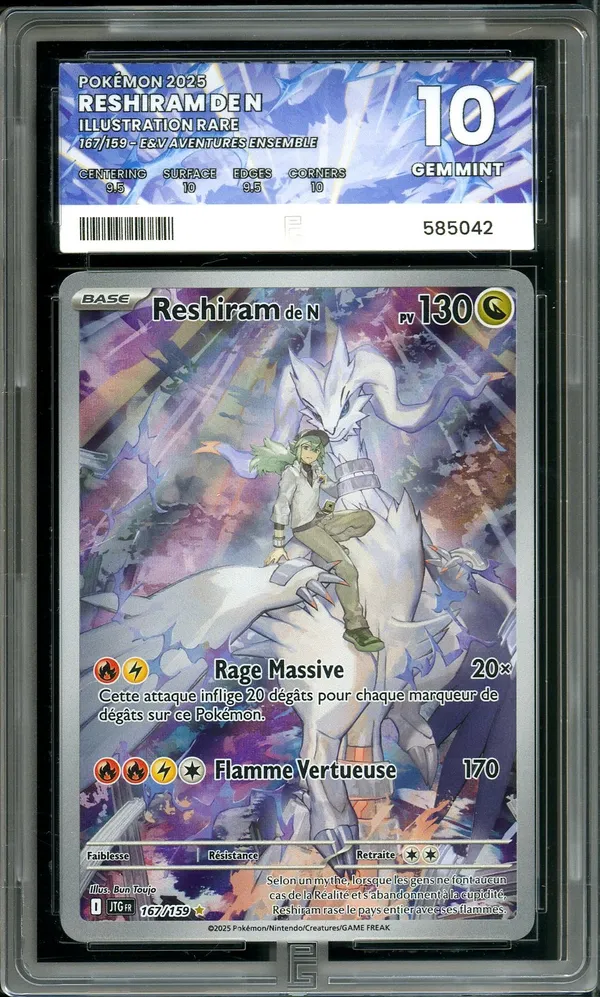 PG 10 Reshiram de N