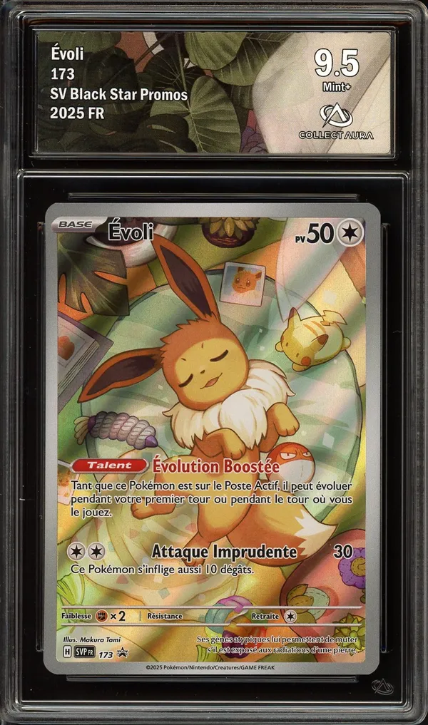 CA 9.5 Evoli