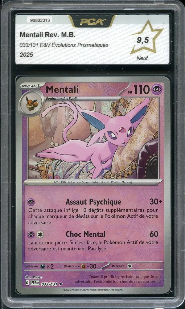 PCA 9.5 Mentali Reverse Master Ball