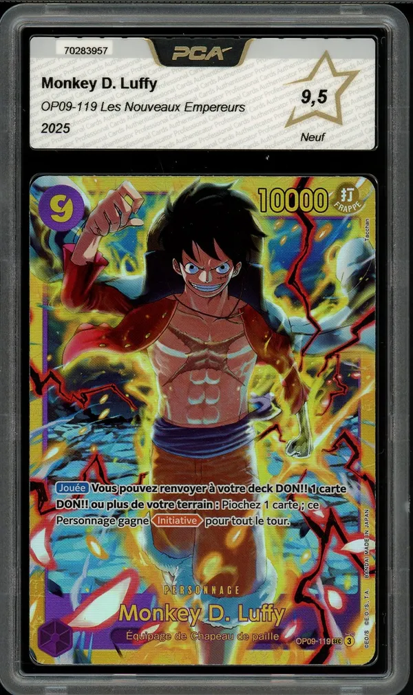 PCA 9.5 Monkey D. Luffy