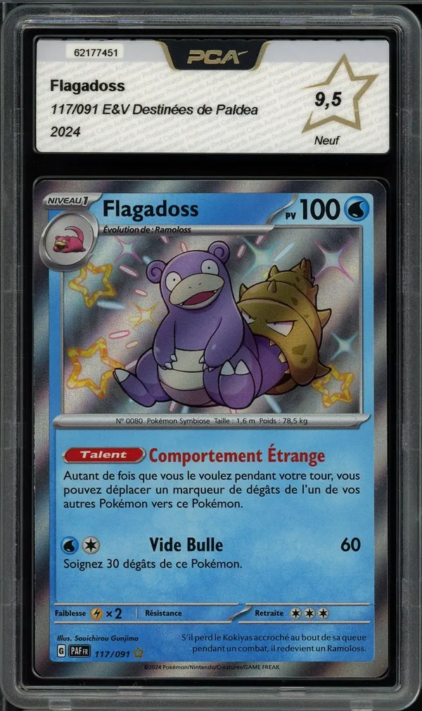 PCA 9.5 Flagadoss Shiny