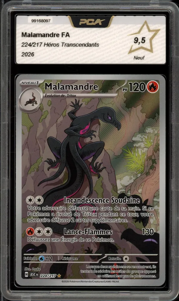 PCA 9.5 Malamandre