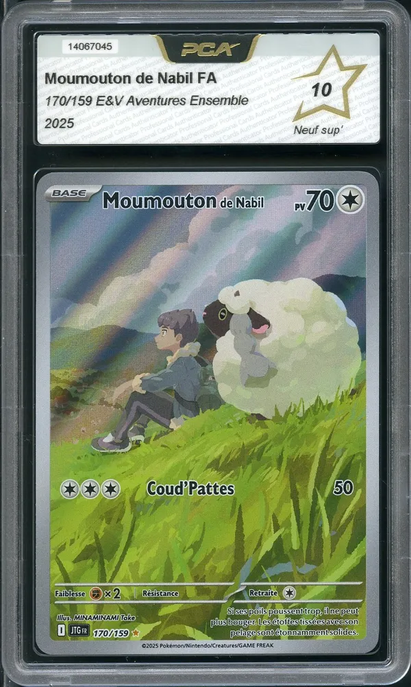 PCA 10 Moumouton de Nabil