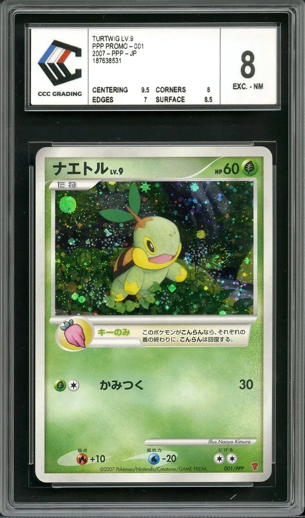 CCC 8 Turtwig Holo